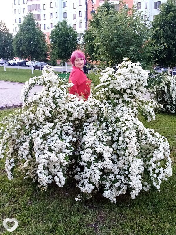 Владислава