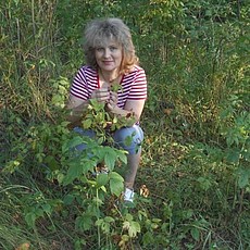 Татьяна, 59, Хотьково