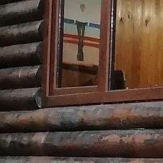 Эльвира, 45, Архангельск