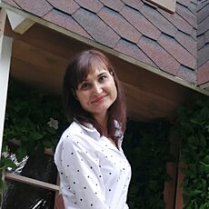 Анжелика, 40, Лыткарино