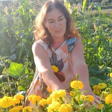 Наталья, 55, Чайковский