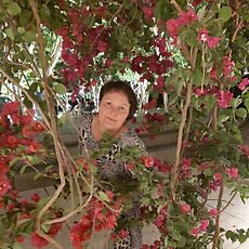 Ксюша, 46, Рошаль