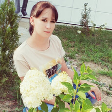 София, 35, Льгов