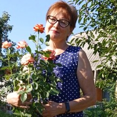 Лена, 63, Новодвинск