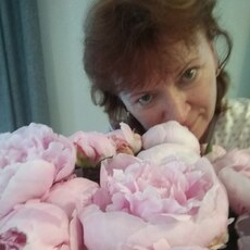 Света, 58, Гуково