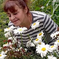 Люда, 63, Красноярск