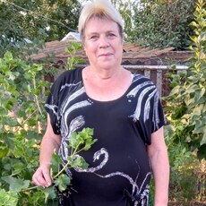 Снежана, 66, Краснодар