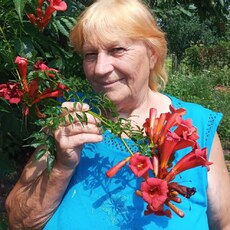 Вита, 67, Талдом