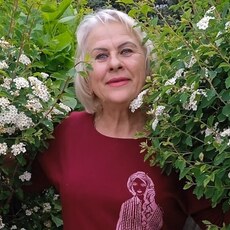 Ника, 66, Яхрома