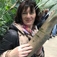 Сусанна, 45, Сухой Лог