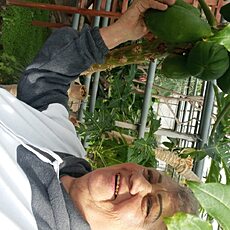 Татьяна, 63, Рубцовск