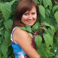 Снежана, 48, Лыткарино