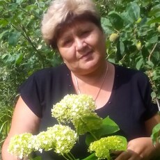 Ангелина, 63, Саратов