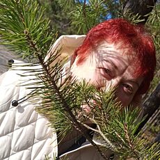 Оксана, 62, Всеволожск