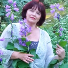 Елена, 61, Краснодар