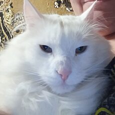 Ирина, 44, Белорецк