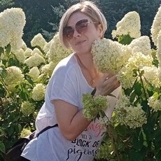 Нэса, 39, Людиново